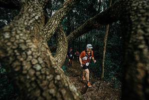 BIB: 
                            <button type="button" onclick="openModal(25699882)" class="btn btn-primary btn-sm float-right btn-popup" data-toggle="modal" data-target=".modal-high-quality">
                        <i class="fas fa-shopping-cart"></i> Add to Cart
                    </button>
                                            <button type="button" onclick="isThisMe(25699882, true)" class="btn btn-success btn-sm float-right btn-popup btn-isme hidden" data-toggle="tooltip" data-placement="bottom" title="นี่คือรูปของคุณใช่ไหม คลิกที่นี่เพื่อเอาเข้าอัลบั้ม">
                        <i class="fas fa-plus"></i> Add to album
                    </button>
                    <button type="button" onclick="isThisMe(25699882, false)" class="btn btn-warning btn-sm float-right btn-popup btn-isnotme hidden">
                        <i class="fas fa-ban"></i> Remove from album
                    </button>